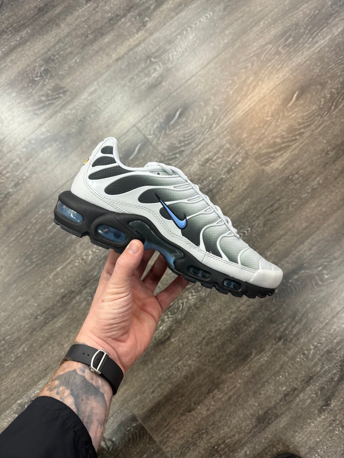 Wolf Grey x Uni Blue