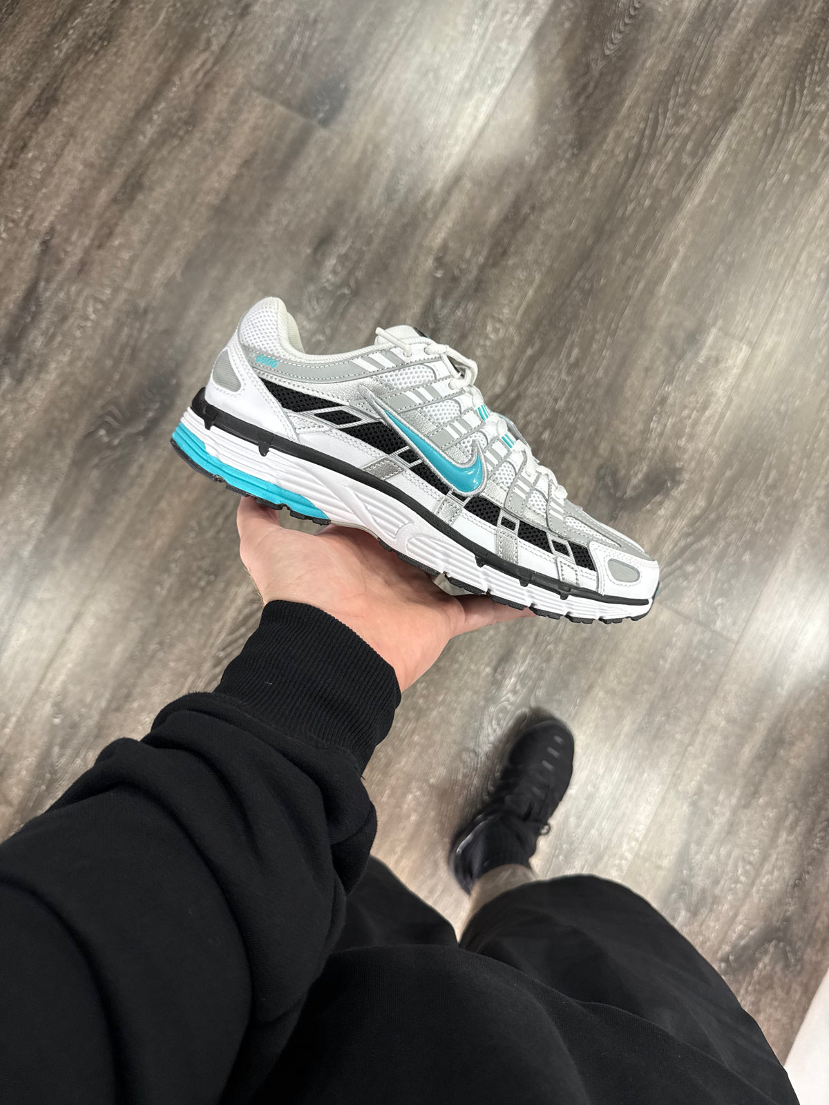 Dusty Cactus