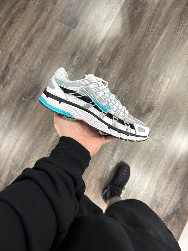 Dusty Cactus
